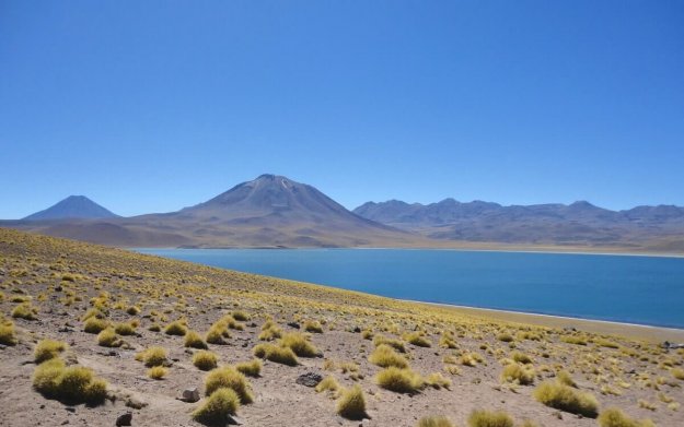 comision-seguimiento-capitulo-indigena