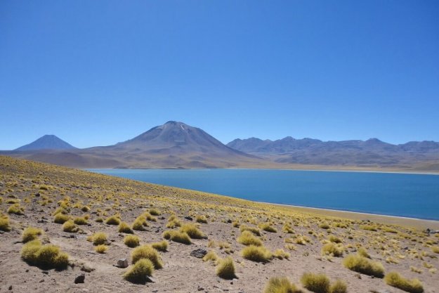 comision-seguimiento-capitulo-indigena