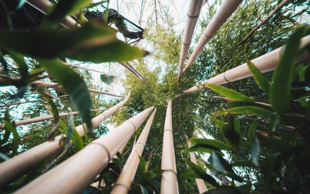 Guiar el desarrollo del hidrógeno verde en Chile Guiar el desarrollo del hidrógeno verde en Chile