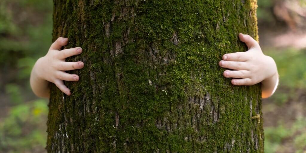 Nuevos avances del Estado Verde hacia un futuro sostenible Nuevos avances del Estado Verde hacia un futuro sostenible