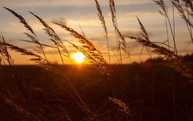 energia-solar-chile La energía solar ya constituye el 40% de las ERNC en Chile